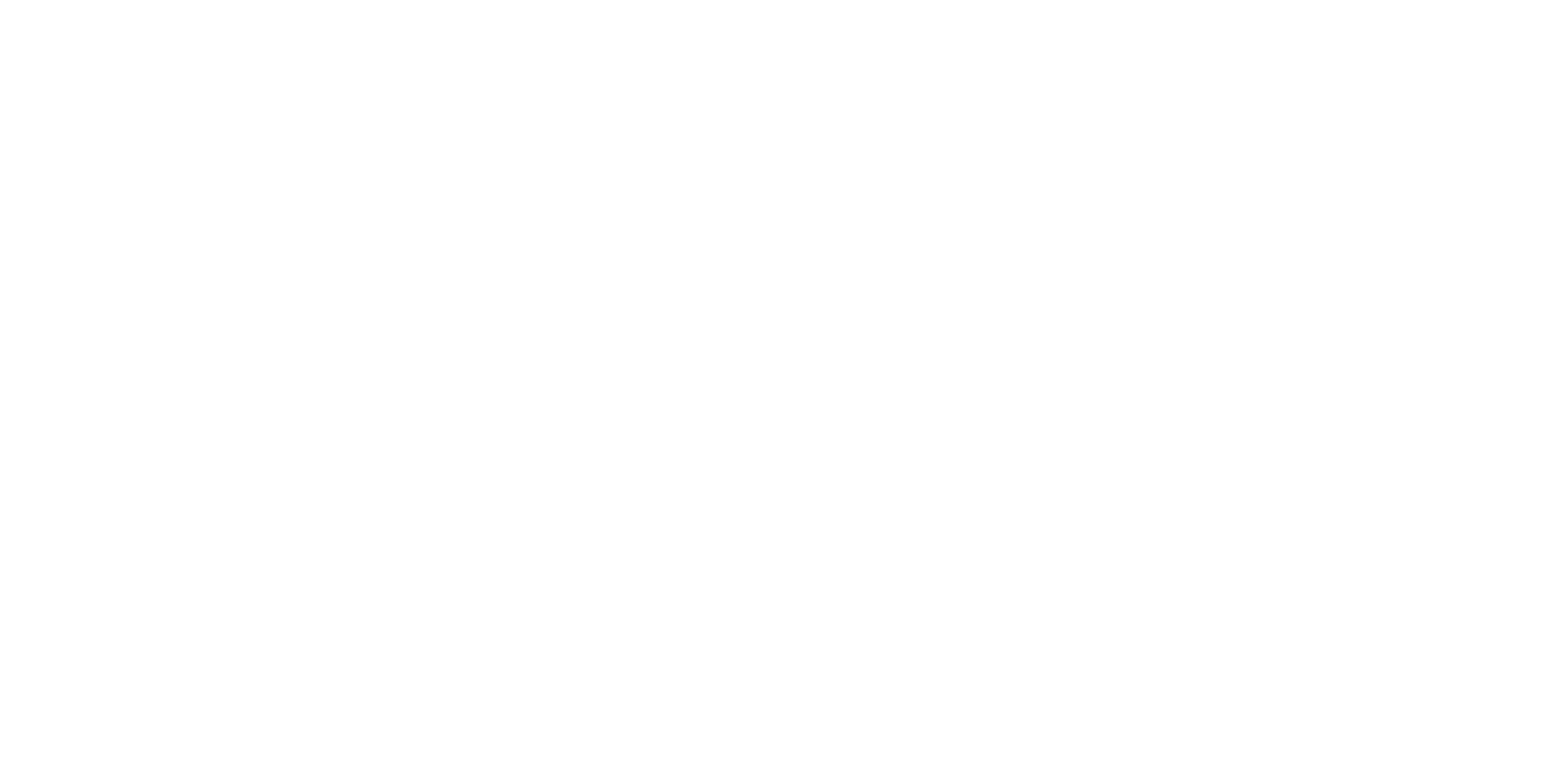 Nancy Bilodeau Logo